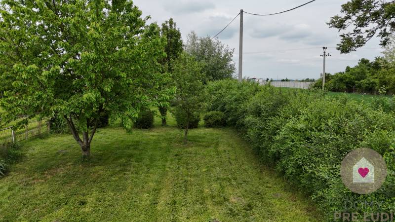 DJI_20250507105556_0012_D.JPG