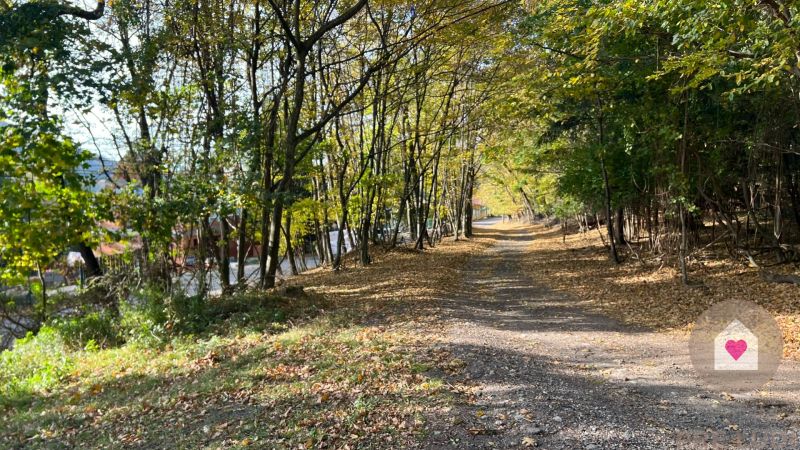 Borinka_pozemok na predaj